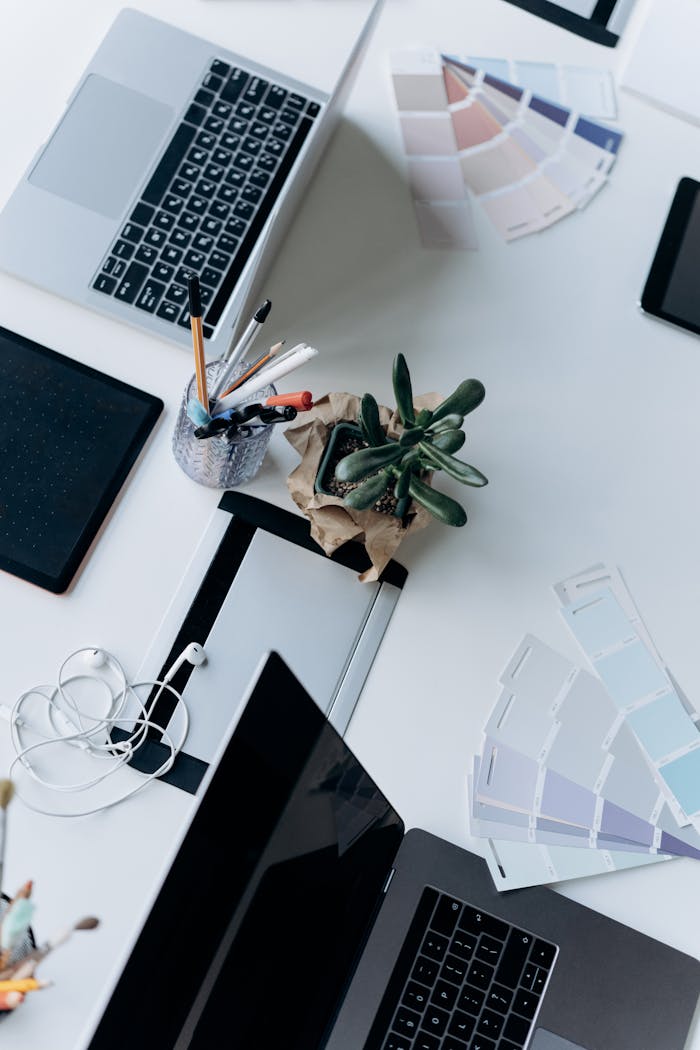 Top view of an organized workspace featuring a laptop, succulent plant, and office supplies on a white desk.
